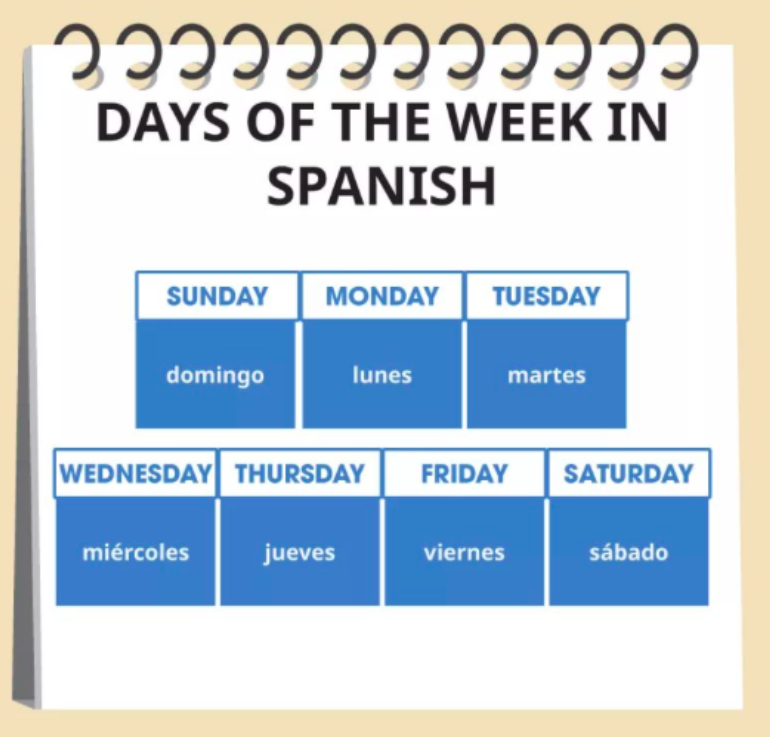 DAYS OF THE WEEK DAYS OF THE WEEK